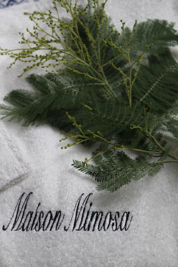Maison Mimosa Névez Екстериор снимка