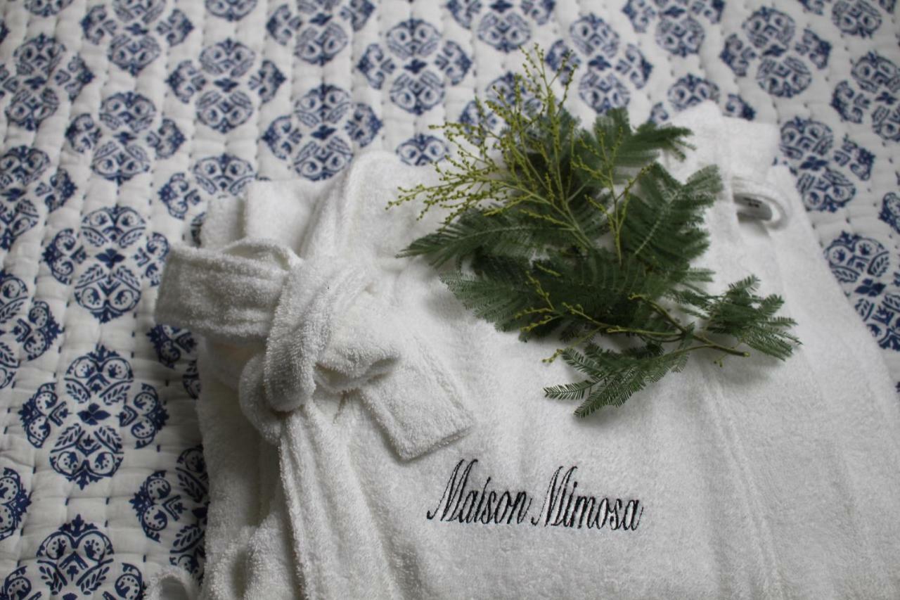 Maison Mimosa Névez Екстериор снимка